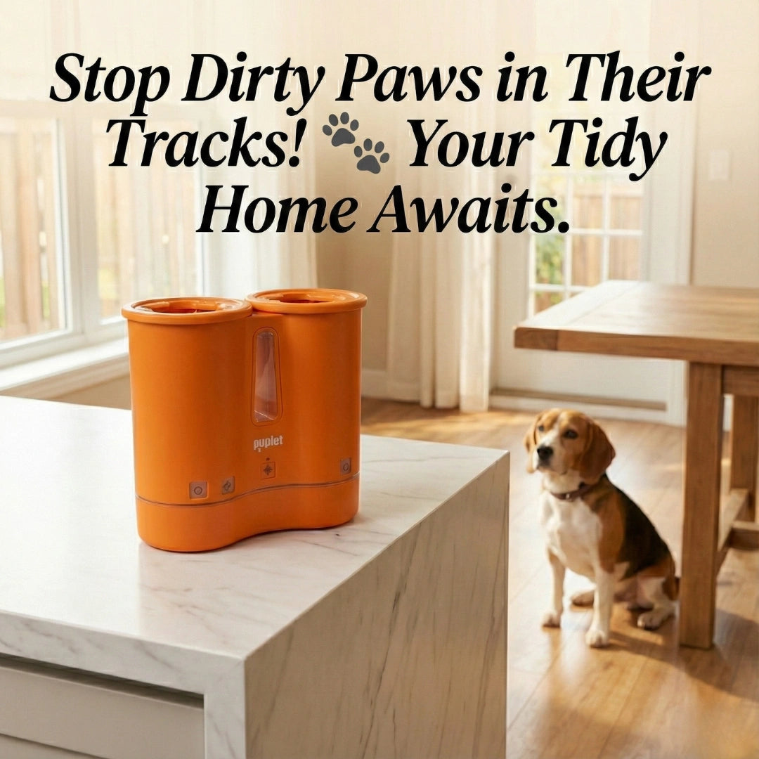 Saloure™ - 4 in 1 Paw Cleaner